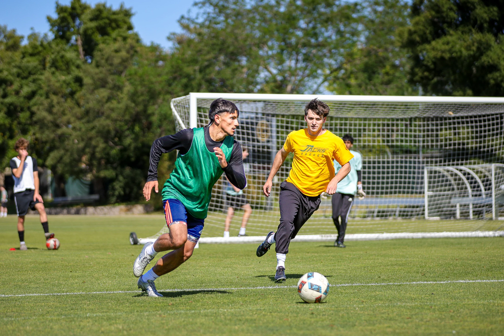 Spring ID Camp